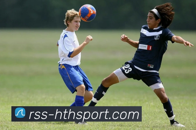 华体会平台生态图